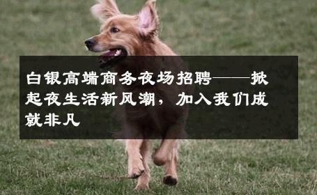 白银高端商务夜场招聘——掀起夜生活新风潮，加入我们成就非凡
