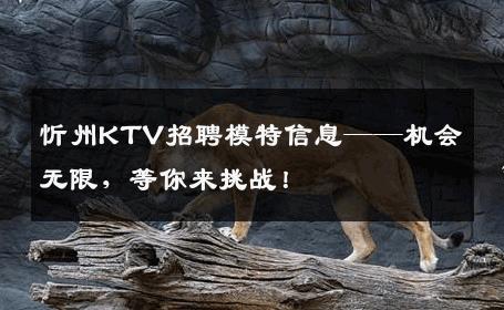 忻州KTV招聘模特信息——机会无限，等你来挑战！