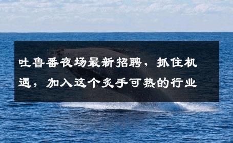 吐鲁番夜场最新招聘，抓住机遇，加入这个炙手可热的行业