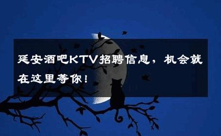 延安酒吧KTV招聘信息，机会就在这里等你！