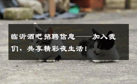 临沂酒吧招聘信息——加入我们，共享精彩夜生活！