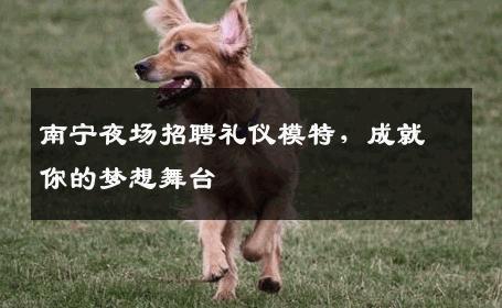 南宁夜场招聘礼仪模特，成就你的梦想舞台