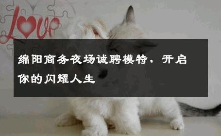 绵阳商务夜场诚聘模特，开启你的闪耀人生