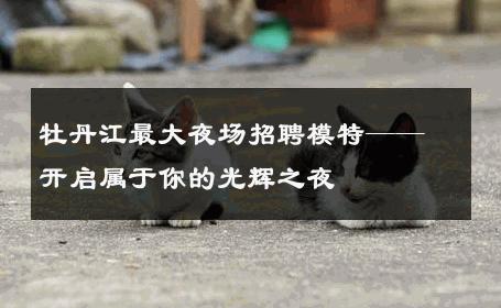 牡丹江最大夜场招聘模特——开启属于你的光辉之夜