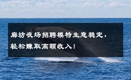 廊坊夜场招聘模特生意稳定，轻松赚取高额收入！