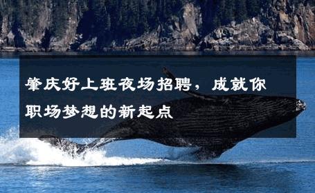 肇庆好上班夜场招聘，成就你职场梦想的新起点