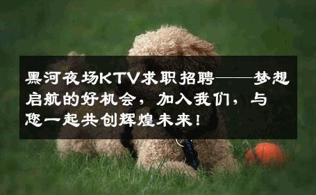 黑河夜场KTV求职招聘——梦想启航的好机会，加入我们，与您一起共创辉煌未来！