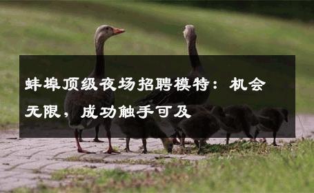 蚌埠顶级夜场招聘模特：机会无限，成功触手可及