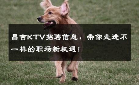 昌吉KTV招聘信息，带你走进不一样的职场新机遇！