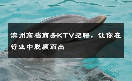 滨州高档商务KTV招聘，让你在行业中脱颖而出