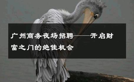 广州商务夜场招聘——开启财富之门的绝佳机会