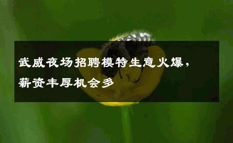 武威夜场招聘模特生意火爆，薪资丰厚机会多