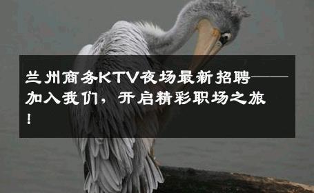 兰州商务KTV夜场最新招聘——加入我们，开启精彩职场之旅！