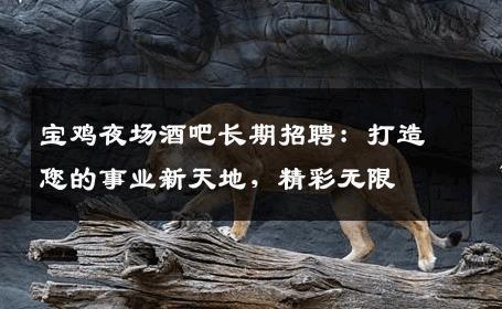 宝鸡夜场酒吧长期招聘：打造您的事业新天地，精彩无限