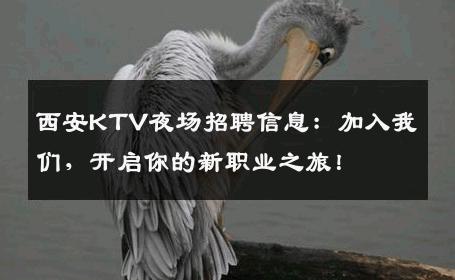 西安KTV夜场招聘信息：加入我们，开启你的新职业之旅！