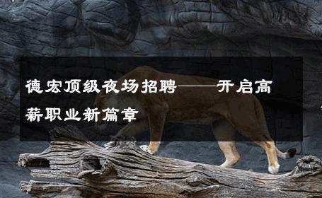 德宏顶级夜场招聘——开启高薪职业新篇章