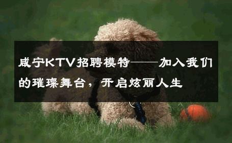咸宁KTV招聘模特——加入我们的璀璨舞台，开启炫丽人生