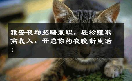雅安夜场招聘兼职，轻松赚取高收入，开启你的夜晚新生活！