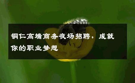 铜仁高端商务夜场招聘，成就你的职业梦想