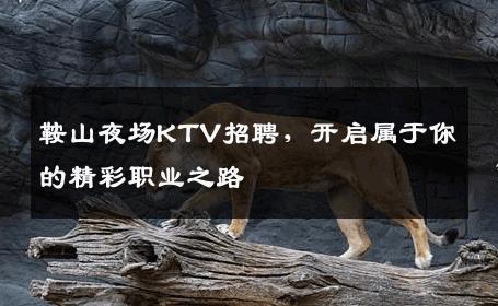 鞍山夜场KTV招聘，开启属于你的精彩职业之路