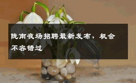 陇南夜场招聘最新发布，机会不容错过