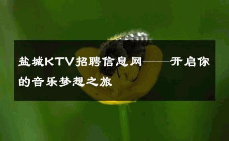 盐城KTV招聘信息网——开启你的音乐梦想之旅