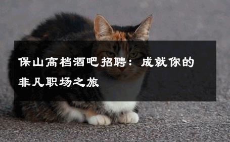保山高档酒吧招聘：成就你的非凡职场之旅