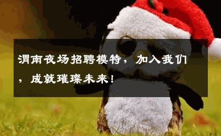 渭南夜场招聘模特，加入我们，成就璀璨未来！