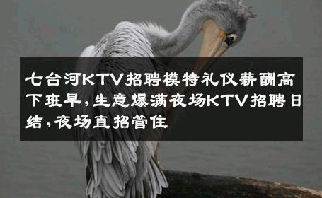 七台河KTV招聘模特礼仪薪酬高下班早,生意爆满夜场KTV招聘日结,夜场直招管住