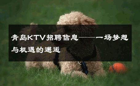 青岛KTV招聘信息——一场梦想与机遇的邂逅