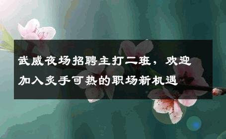 武威夜场招聘主打二班，欢迎加入炙手可热的职场新机遇