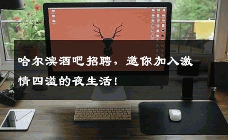 哈尔滨酒吧招聘，邀你加入激情四溢的夜生活！