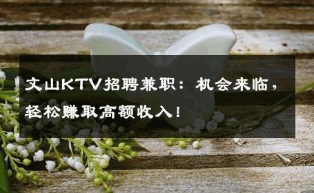 文山KTV招聘兼职：机会来临，轻松赚取高额收入！