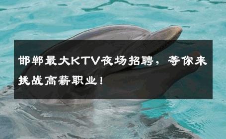 邯郸最大KTV夜场招聘，等你来挑战高薪职业！