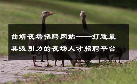 曲靖夜场招聘网站——打造最具吸引力的夜场人才招聘平台