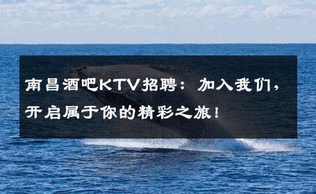 南昌酒吧KTV招聘：加入我们，开启属于你的精彩之旅！
