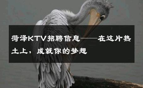 菏泽KTV招聘信息——在这片热土上，成就你的梦想