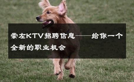 崇左KTV招聘信息——给你一个全新的职业机会