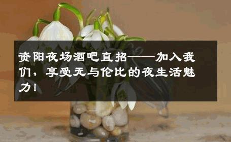 资阳夜场酒吧直招——加入我们，享受无与伦比的夜生活魅力！
