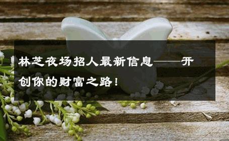 林芝夜场招人最新信息——开创你的财富之路！