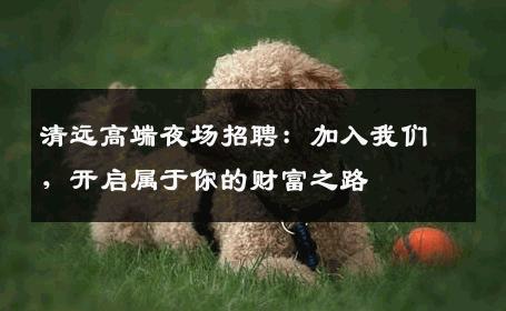 清远高端夜场招聘：加入我们，开启属于你的财富之路