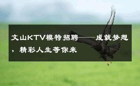 文山KTV模特招聘——成就梦想，精彩人生等你来