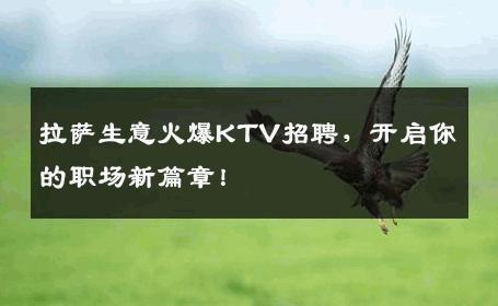 拉萨生意火爆KTV招聘，开启你的职场新篇章！