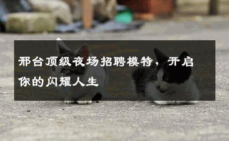 邢台顶级夜场招聘模特，开启你的闪耀人生