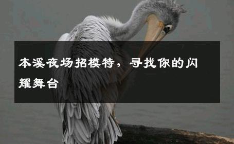 本溪夜场招模特，寻找你的闪耀舞台