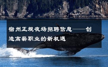 宿州正规夜场招聘信息——创造高薪职业的新机遇