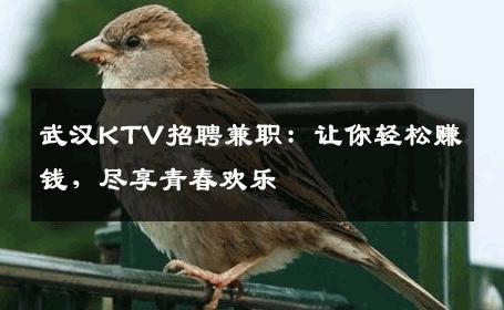 武汉KTV招聘兼职：让你轻松赚钱，尽享青春欢乐