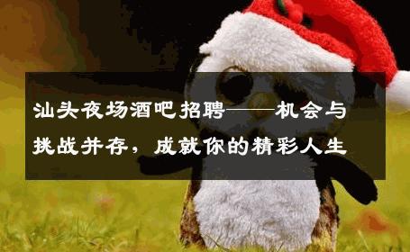 汕头夜场酒吧招聘——机会与挑战并存，成就你的精彩人生