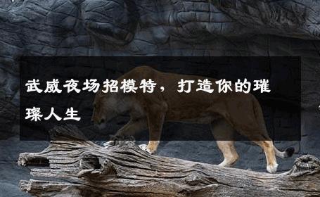 武威夜场招模特，打造你的璀璨人生