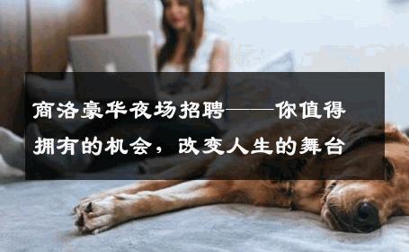 商洛豪华夜场招聘——你值得拥有的机会，改变人生的舞台
